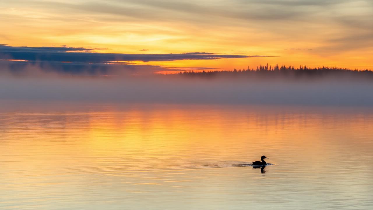 Climate Change & Ontario's Recreational Fisheries